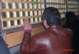 TÜRKMEN ALEVİ BEKTAŞİ DERNEĞİ RESMİ WEB SİTESİ